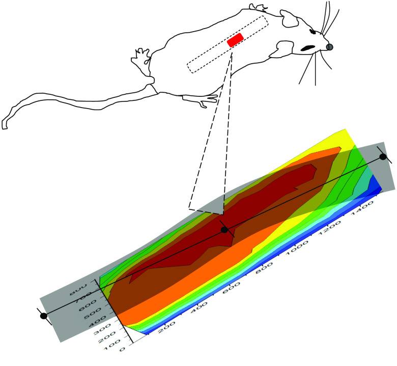 Fig. 10