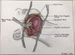 Figure 5: