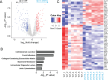 Figure 5: