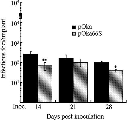 FIG. 6.