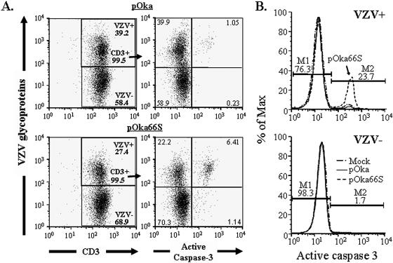 FIG. 7.