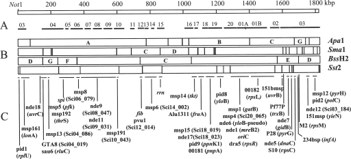 FIG. 1.