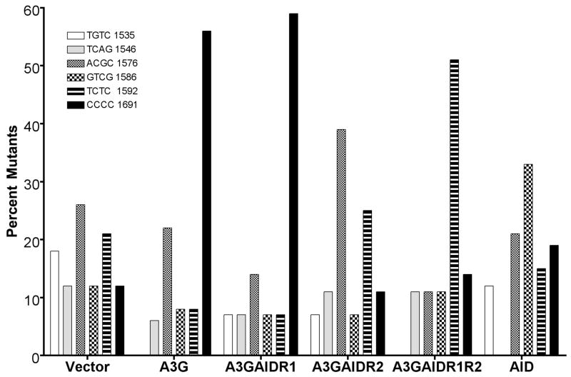 Figure 5