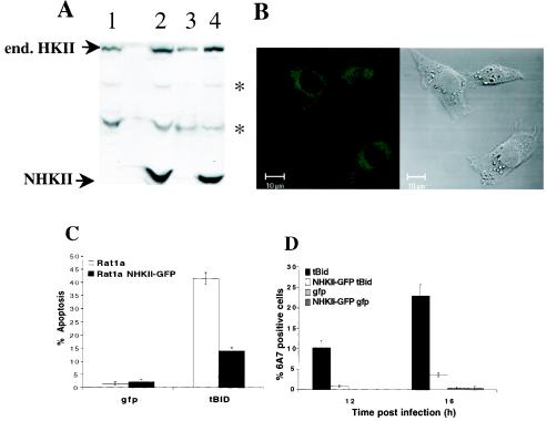 FIG. 7.