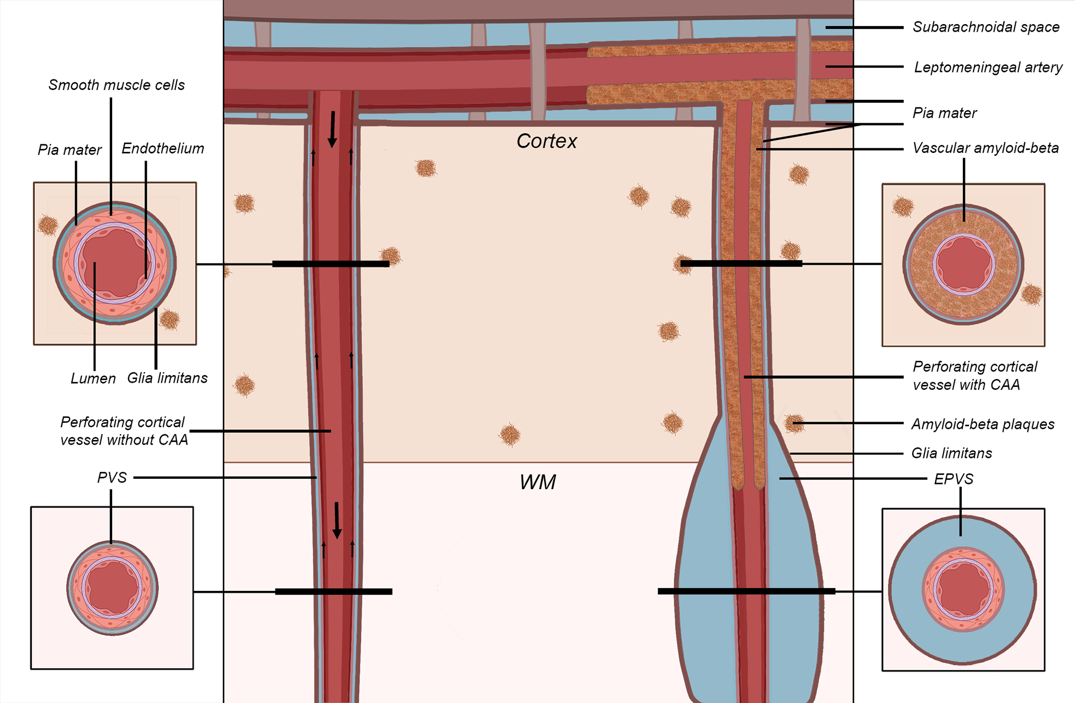 Fig. 6