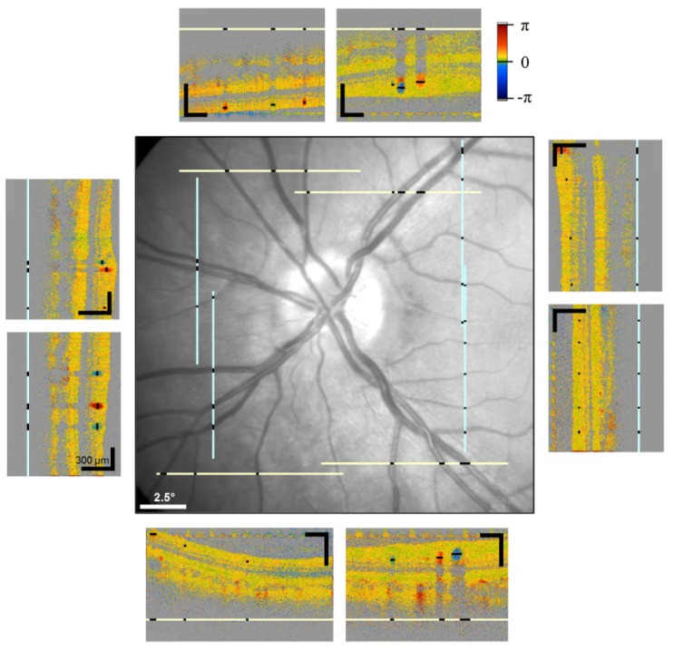 Fig. 3