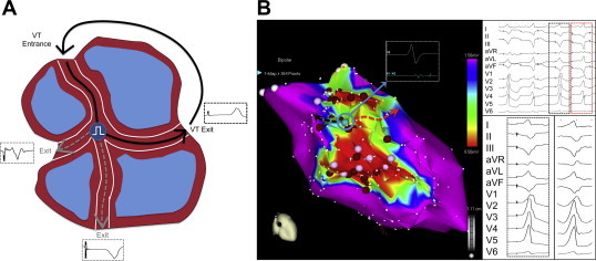 Fig. 7