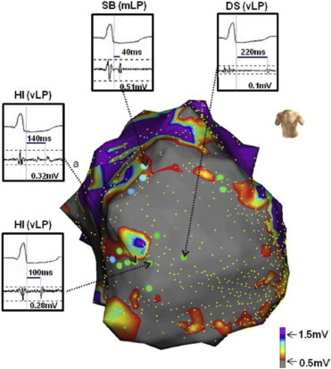 Fig. 8