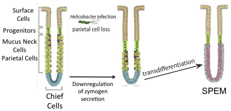 Figure 1