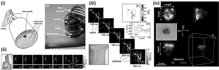 Fig. 9