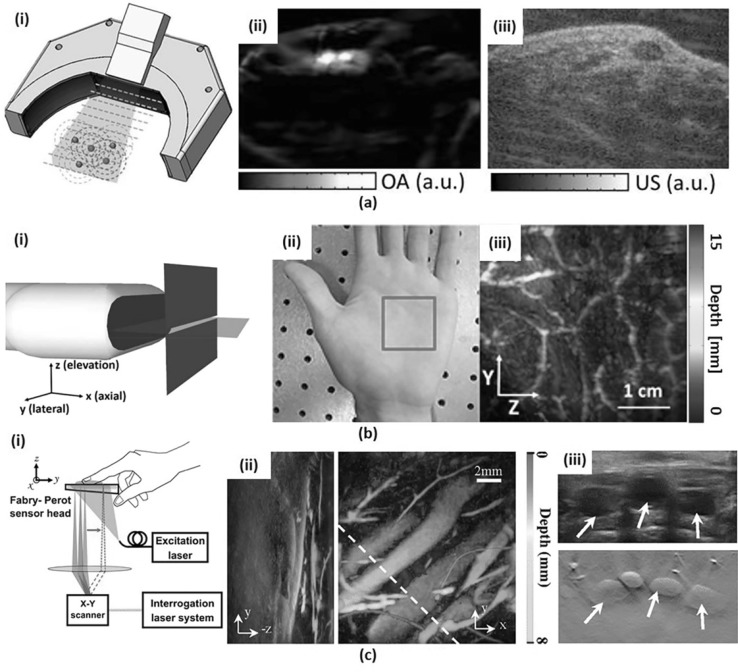 Fig. 10