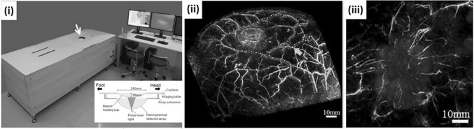 Fig. 8