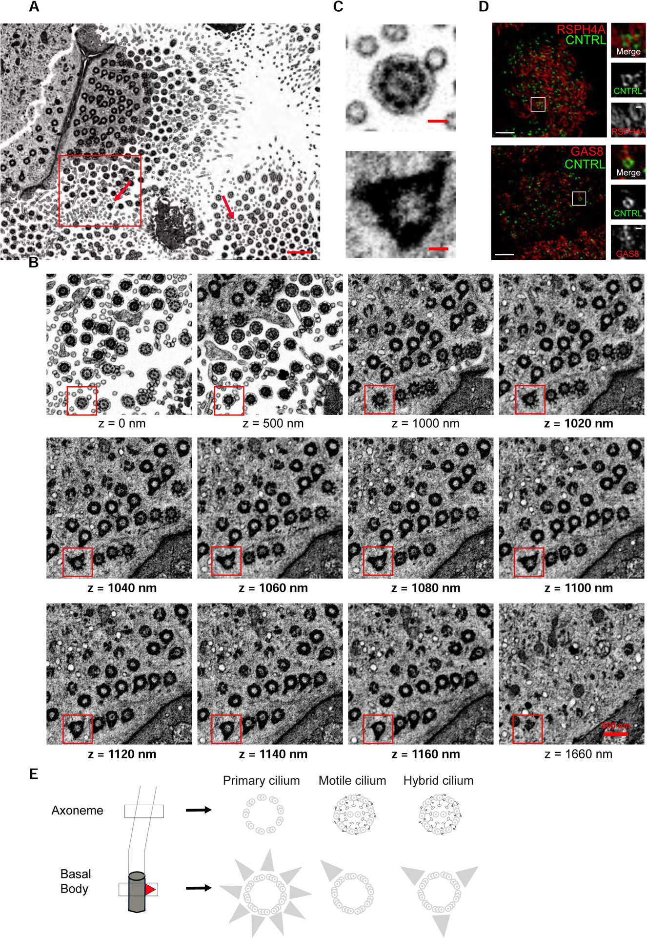 Figure 3.