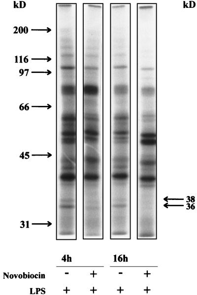 FIG. 5