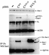 FIG. 8.