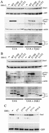 FIG. 6.