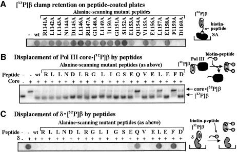 graphic file with name cdg603f2.jpg