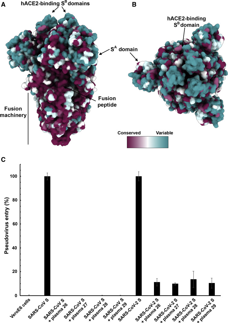 Figure 5