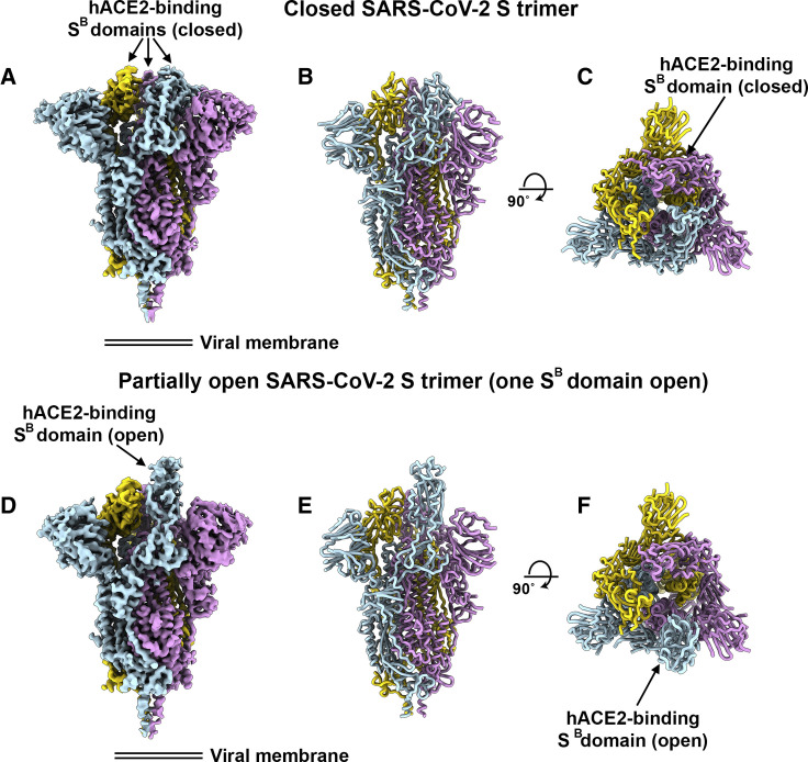 Figure 3