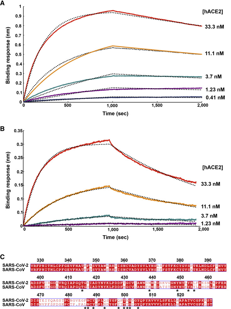 Figure 2