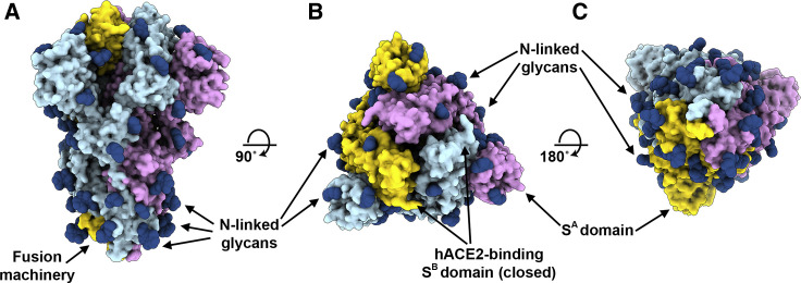 Figure 4