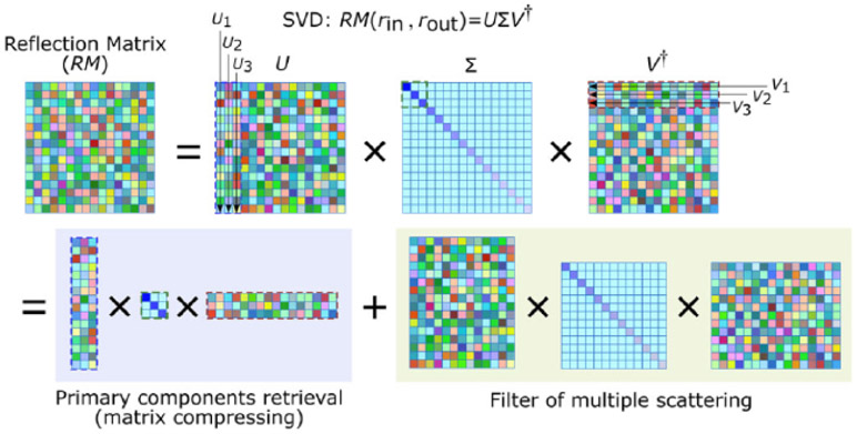 Fig. 6.