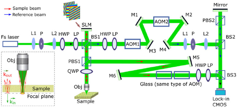 Fig. 1.