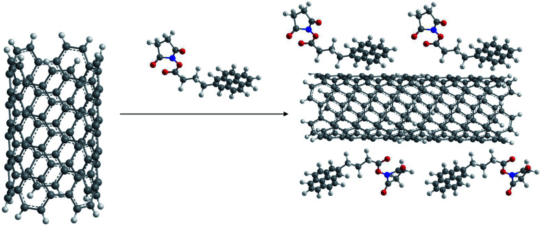 Fig. 11