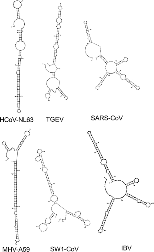 FIG. 4.