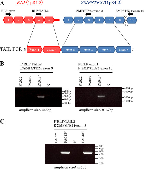 Figure 13