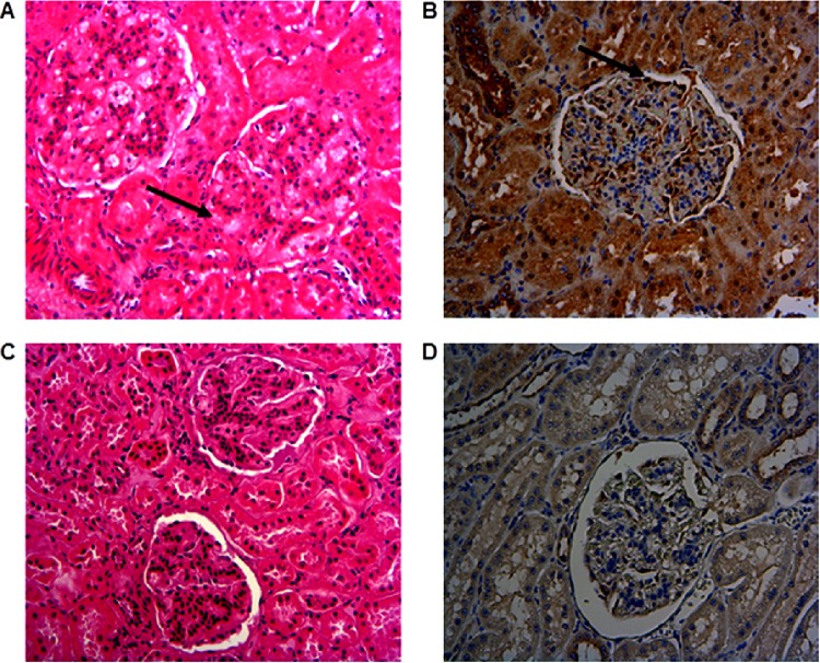 FIG 6