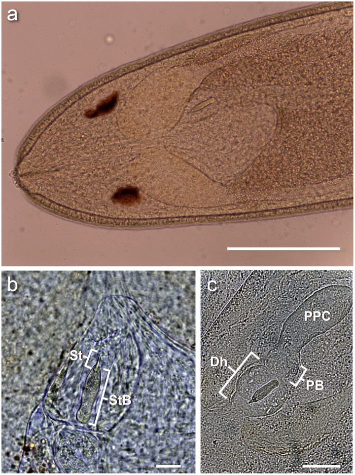 Fig 4