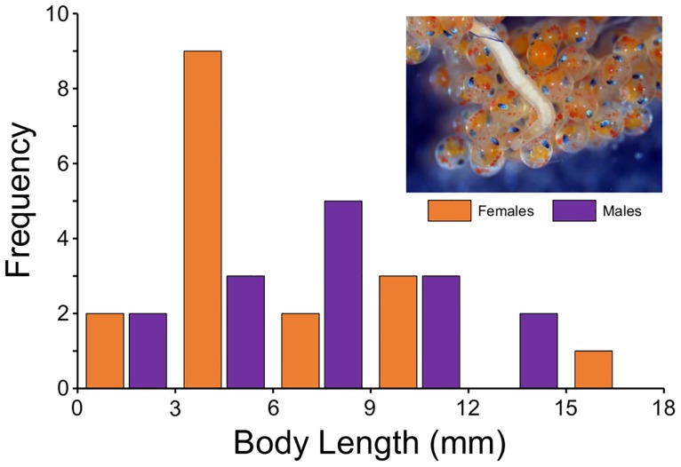 Fig 5