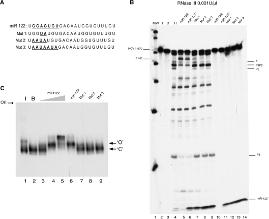 Figure 9.