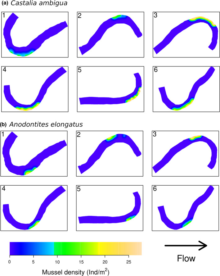 FIGURE 3