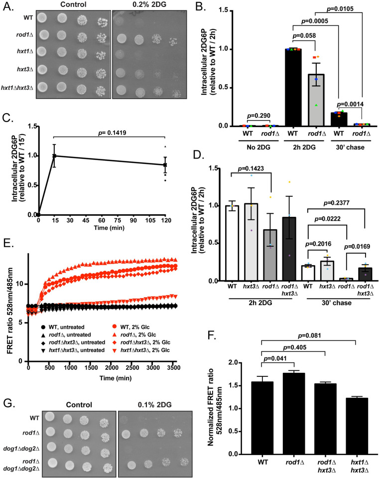 Fig 6