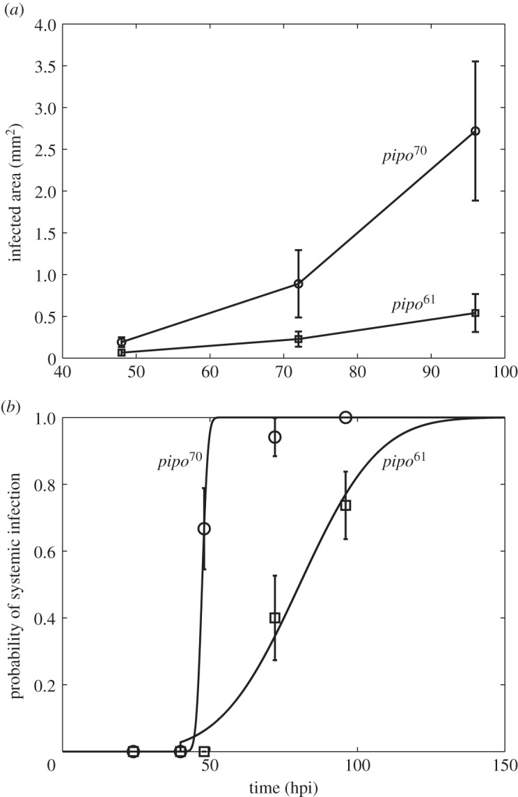 Figure 2.