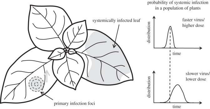 Figure 1.