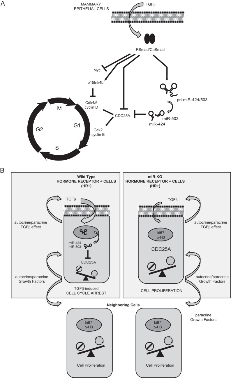 FIG 9