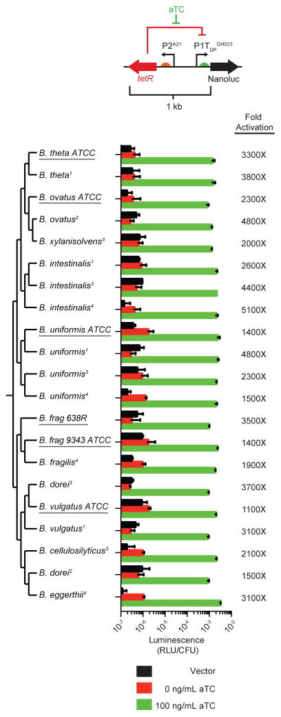 Figure 5