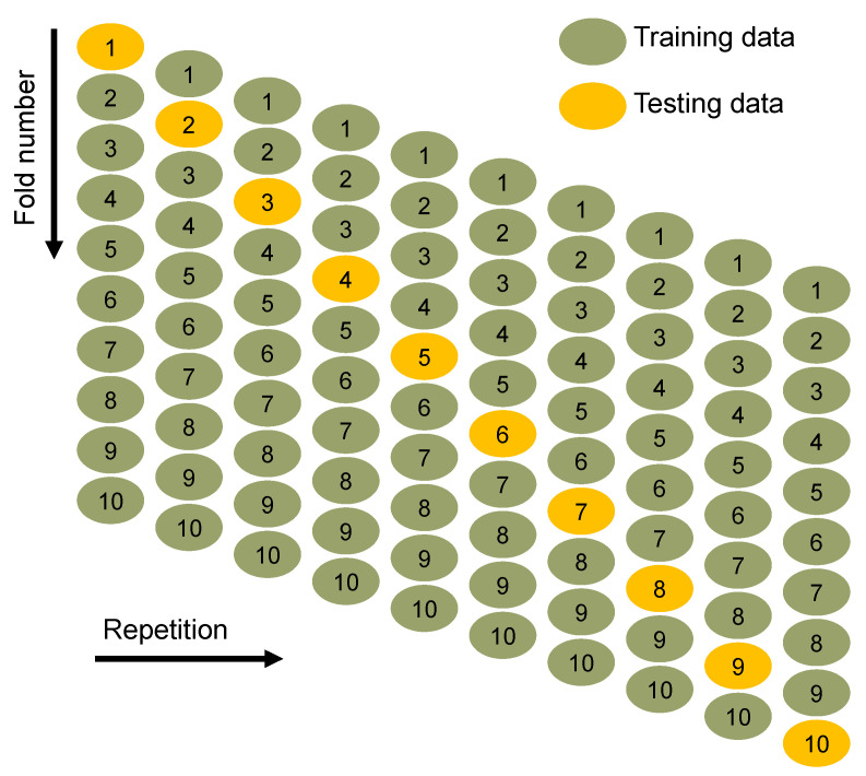 Figure 10