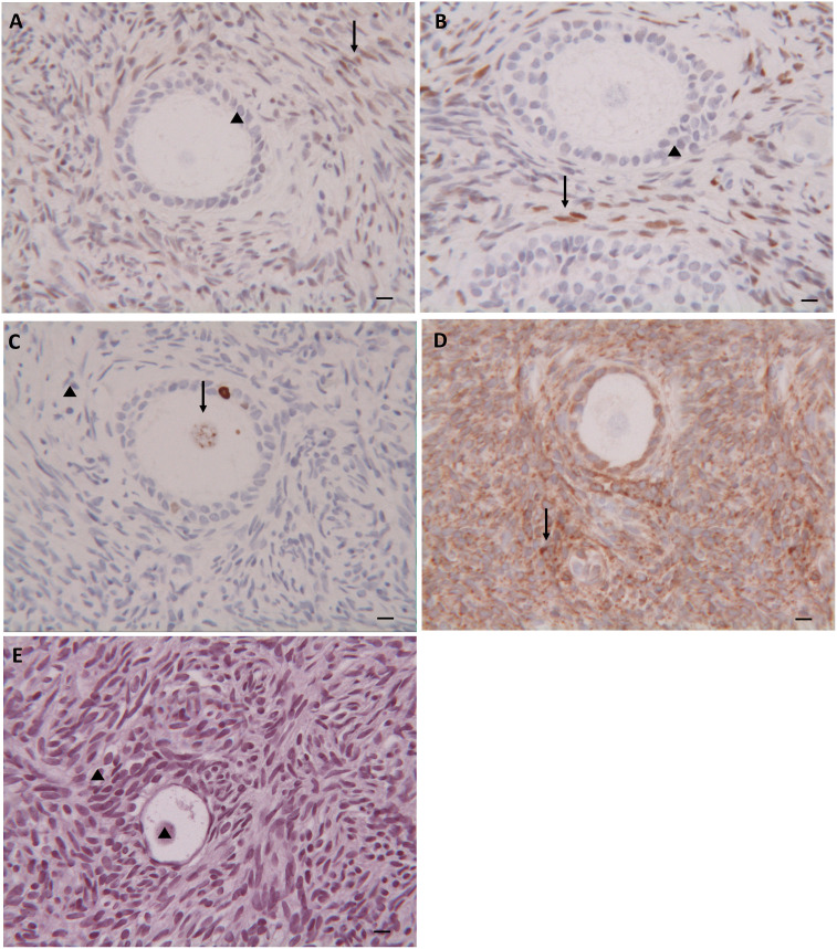 Figure 3