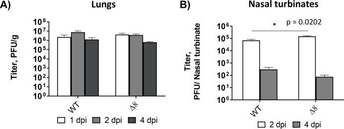 Fig 5