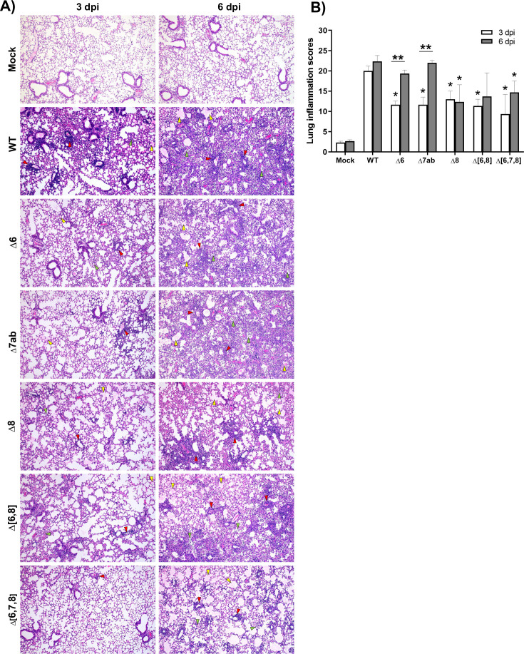 Fig 3