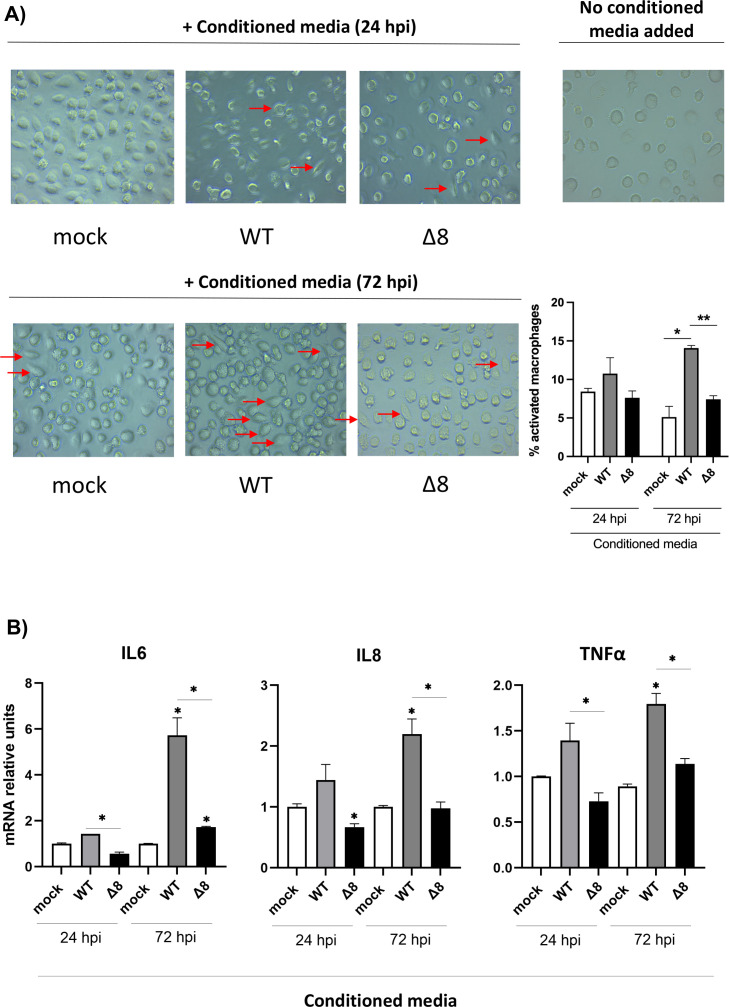 Fig 10