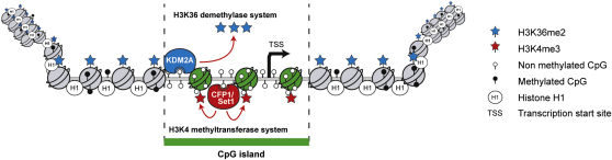 Figure 7