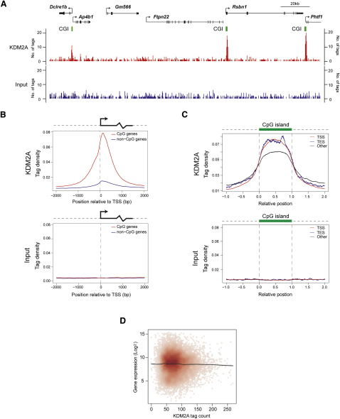 Figure 4