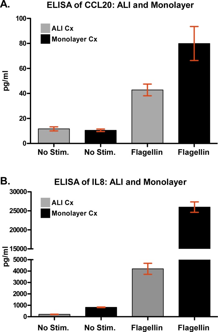 Fig 7