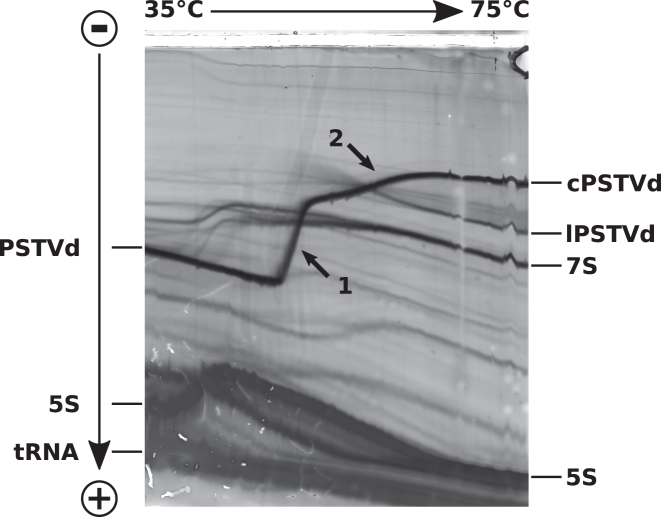 Figure 9.