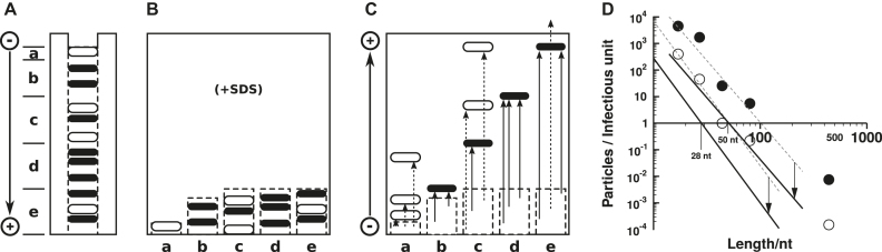 Figure 10.